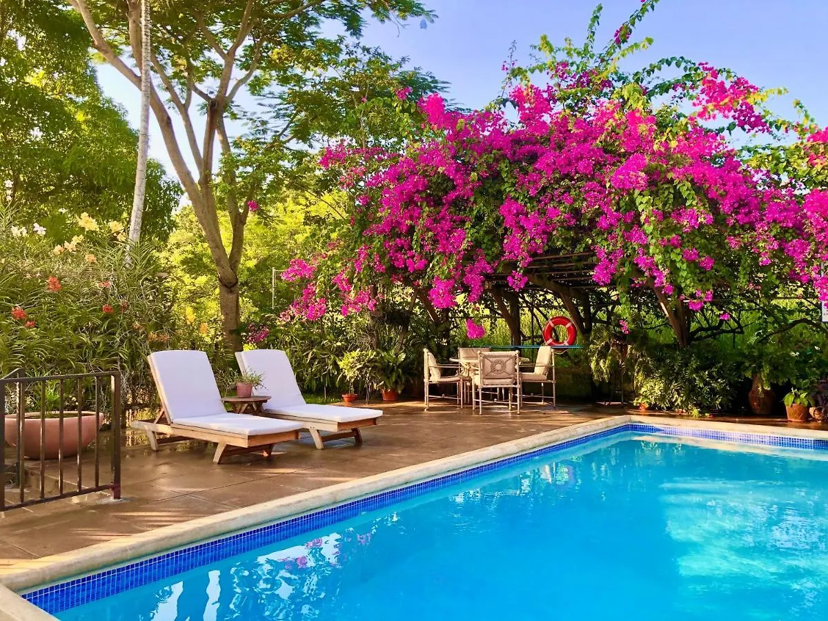 أوشو ريوس The Blue House Boutique Bed & Breakfast