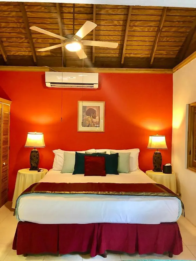 *****  أوشو ريوس The Blue House Boutique Bed & Breakfast جامايكا